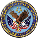 Service-disabled Veteran-owned Small Business