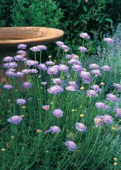 Beautiful landscaping...